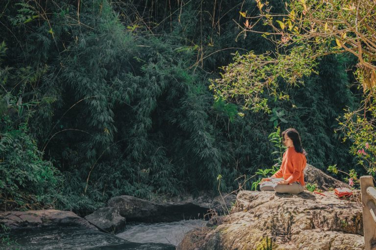 femme assise sur de la pierre brune près des arbres à feuilles vertes pendant la journée