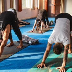 people doing yoga practice